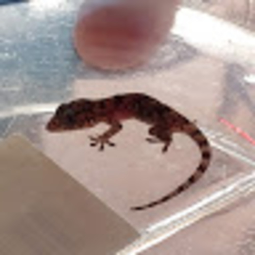 Meet your Posher, Linda